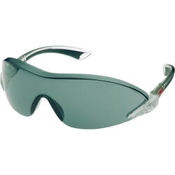 3M™ Schutzbrille Komfort 2845