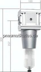 F 10 M MULTIFIX Filter, G 1", Baur. 5, mit Metallbehälter und Sichtrohr
