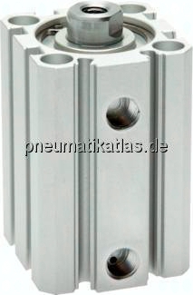 SFS 100/125 ISO 21287-Zylinder, doppeltw., Kolben 100mm, Hub 125mm
